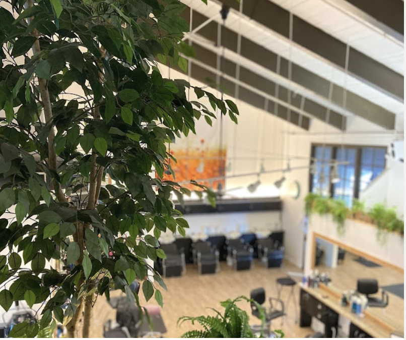 Greenery and natural light inside the salon.
