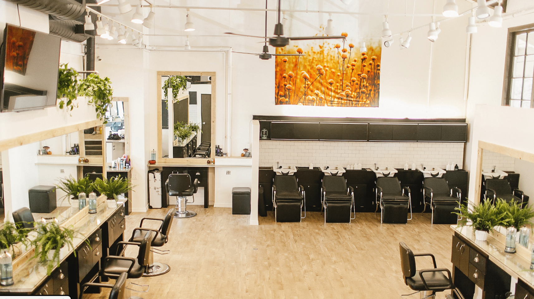 Open salon interior with natural wood and warm light.